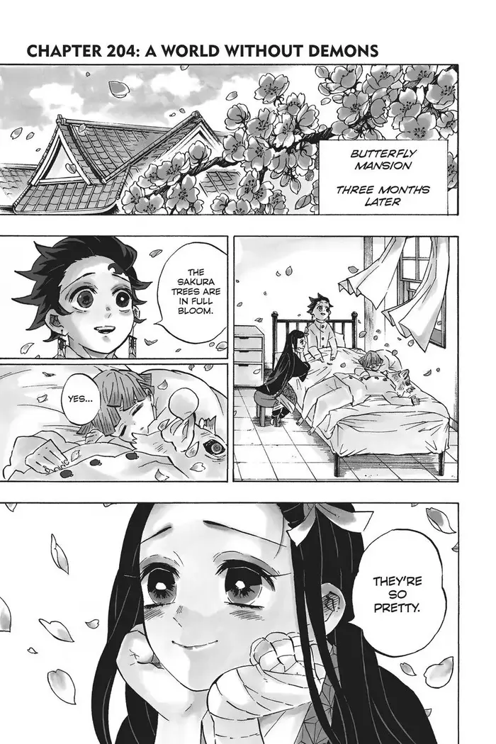 Demon Slayer Chapter 204 image 01_optimized